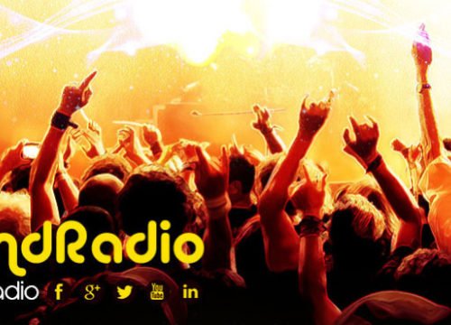 INTO THE JUNGLE – VALLILAND RADIO